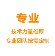 專(zhuān)業(yè)——技術(shù)力量雄厚專(zhuān)業(yè)團(tuán)隊(duì)按需定制